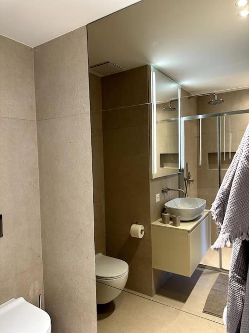 Riva 14 Apartment Лугано Екстериор снимка